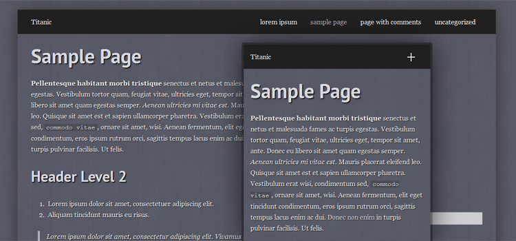 Titanic Responsive Theme Example Image